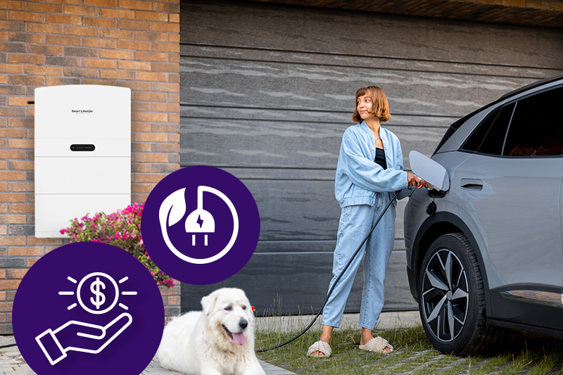 electric vehicles